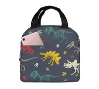 Sac à déjeuner isotherme, silhouette de dinosaures colorés, boîte à déjeuner réutilisable pour homme et femme, sac fourre-tout pour le travail, l'extérieur, les voyages