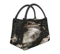 Sac à déjeuner unisexe The Broken Cat isolé, réutilisable pour bureau, travail, pique-nique, voyage