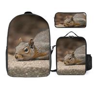 Sac à dos 3 pièces pour homme et femme - Léger - Sac à bandoulière décontracté avec sac à déjeuner isotherme et trousse à crayons - Écureuil qui vient d'être allongé