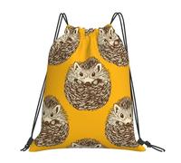 Sac à dos de sport à cordon de serrage, motif hérisson mignon, résistant à l'eau, pour femmes et hommes