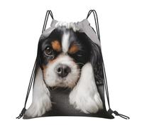 Sac à dos de sport à cordon de serrage pour chien Cavalier King Charles Spaniel, sac de sport résistant à l'eau pour femmes et hommes