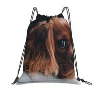 Sac à dos de sport à cordon de serrage pour chiot Ruby Cavalier King Charles Spaniel, sac de sport résistant à l'eau pour femmes et hommes