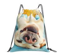 Sac à dos de sport à cordon de serrage, résistant à l'eau, motif Labrador endormi, pour femmes et hommes