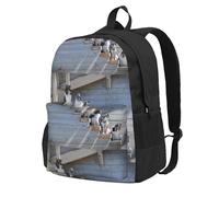 Sac à dos d'école, de voyage, pour homme et femme, motif chiens Border Collie, Shetland, Alaska, avec 15 compartiments pour ordinateur portable