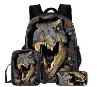Sac à Dos Garçons, Sac d'école Primaire Cartable Dinosaure avec Sac Repas Trousse à Crayons Sets de Sacs Scolaires pour Enfants (D)