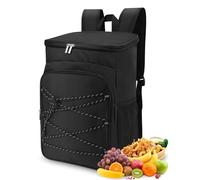 Sac à Dos isolé en Tissu Oxford, Sac à Dos Isotherme en Tissu Oxford avec Poches Latérales pour Le Camping, Sangles Noires à Boucle de Poitrine de Grande capacité, 29x19x42cm