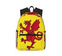 Sac à dos léger imprimé drapeau de la Thaïlande pour femmes et hommes, joli sac à dos de voyage avec bretelles, Drapeau du comté de Somerset, One Size