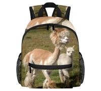 Sac à dos léger pour enfants de 3 à 8 ans Motif petit ours romantique, Multicolore 12., 25.4x10x30 CM/10x4x12 in