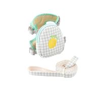 Sac à dos pour animaux de compagnie, harnais avec laisse pour chats et petits chiens, mini sac à dos, sac de selle, sac pour chiot avec laisse d'entraînement pour chien, voyage en plein air,