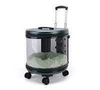 Sac à dos pour chat, porte-chat, chariot pour animaux de compagnie, sac de Transport de voyage pour chien, sac à main Transparent à vue large, sac à dos Portable de sortie, boîte à bulles (Green)