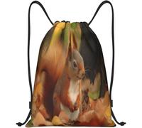 Sac À Dos Scolaire Photo d'un Mignon Écureuil Roux Sacs À Cordon De Serrage Pliable Sacs De Sport À Cordon Léger Sac De Gym pour Camping Vacances Sport 36X42Cm