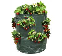 Sac à fraisiers - Sac de plantation pour fraises - X2