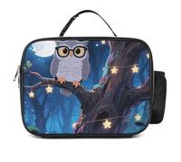Sac à lunch isotherme Grey Owl pour femmes/hommes, boîte à lunch réutilisable pour le bureau, le travail, le pique-nique, la plage - Sac fourre-tout isotherme étanche avec poignée, boîte à lunch con
