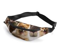 Sac banane à fermeture éclair pour homme et femme - Sac banane élégant avec sangle réglable - Joli chien de Poméranie - Pour la course à pied, la randonnée, l'entraînement, le cyclisme - Chien de