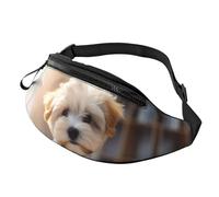 Sac banane à motif éléphant pour homme et femme, sac à bandoulière réglable, adapté pour les voyages, la randonnée, la course à pied, Adorable corgi., Taille unique