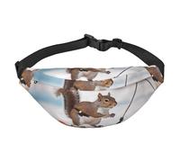 Sac banane de ski en forme d'écureuil pour homme et femme - Sac banane tendance - Sac banane avec sangle réglable - Étanche - Pour voyage, randonnée, sport, noir, taille unique, Noir , Taille unique