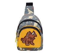 Sac banane en tissu avec motif dinosaure pour enfants de 5 à 10 ans, gris, taille unique