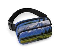 Sac banane imperméable pour femme et homme - Sac banane aquarelle pour plantes succulentes, Parc national du Grand Teton., 20x13cm, Art Déco