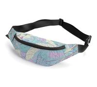Sac banane imperméable pour homme et femme avec motif bonhomme de neige avec écharpe et sangle réglable, Chat et un filet, 36*15cm