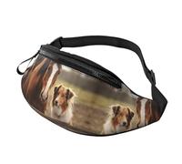 Sac Banane Impression D'Un Chien Et D'Un Cheval Collie Ensemble Portable Sac De Taille Loisir Waist Pack Pour Vacance Balade Randonnée 14X35Cm