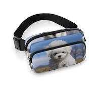 Sac banane imprimé bichon frisé pour homme et femme, grand sac de poitrine avec sangle réglable pour l'extérieur, l'entraînement, les voyages, la course décontractée, motif bichon frisé, 20 x 13 cm,