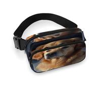 Sac banane imprimé Golden Retriever pour entraînement, voyage, course décontractée, course à pied, randonnée, cyclisme, Golden Retriever, 20 x 13 cm, Golden Retriever, 7.9 X 5.1 in