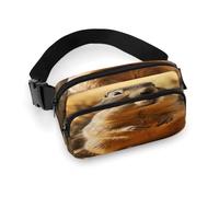 Sac banane imprimé marmotte dessiné à la main pour entraînement, voyage, course décontractée, course à pied, randonnée, cyclisme, marmotte dessinée à la main, 20 x 13 cm, Marmotte dessinée à la main,