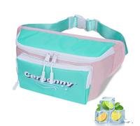 Sac banane isotherme, Rose et vert, 11.8 x 3.9 x 5.3 inches, Rétro