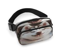 Sac banane léger pour voyage, sport, randonnée, course à pied, chien husky piquant, 20 x 13 cm, Husky Piquant Dog, 7.9 X 5.1 in