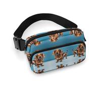 Sac banane léger pour voyage, sport, randonnée, course à pied, teckel, 7,9 x 13 cm, Teckel Weiner Pet Dog, 7.9 X 5.1 in