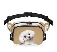 Sac banane multifonction pour voyage, sport, course à pied, chien maltais, sac banane pour femmes, hommes, filles, garçons, couleur, XL, Organiseur de sac
