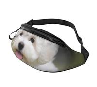 Sac banane personnalisé imprimé bichon frisé, léger et polyvalent pour les aventures quotidiennes et en plein air, Noir , Taille unique, Sac à dos décontracté