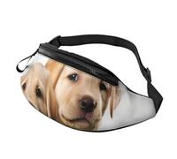 Sac banane pour femme - Grand sac à bandoulière tendance - Motif tartan à carreaux - Pour voyage, Chiot labrador amusant, Taille unique