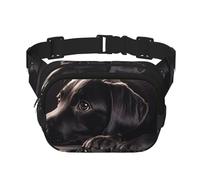 Sac banane pour femme - Imperméable et réglable - Motif chiot labrador noir - Sac banane tendance et décontracté - Pour la course à pied, l'entraînement, la randonnée, les voyages - Noir - Taille