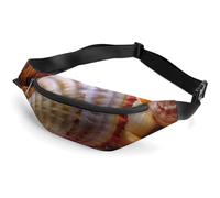 Sac banane pour homme et femme avec sangle réglable, Coquillage, 36*15cm, Art Déco