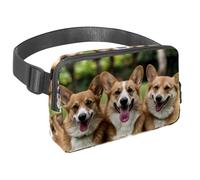 Sac banane pour homme et femme - Sac banane fin pour la marche, le jogging, la randonnée, les voyages, l'entraînement - Trois corgis sur la pelouse, multicolore, 1.5x9.0x5.9in/4x23x15cm, Sacs banane