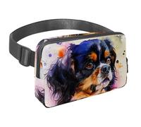 Sac banane pour homme et femme - Sac banane fin pour la marche, le jogging, la randonnée, les voyages, l'entraînement - Cavalier King Charles Spaniel Dog, multicolore, 1.5x9.0x5.9in/4x23x15cm, Sacs