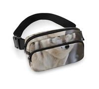 Sac banane, sac banane imprimé loup dans la neige, sac banane universel, sac banane portable, sac banane durable, sac banane épais, loup dans la neige, 20 x 13 cm, moderne, Loup dans la neige.,
