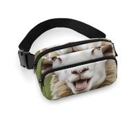 Sac banane, sac banane imprimé mouton amusant, sac de taille universel, sac de taille portable, sac de taille durable, sac de taille épais, mouton amusant, 20 x 13 cm, moderne, Mouton drôle, 20x13cm,