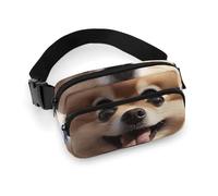 Sac banane, sac de taille imprimé Happy Pomeranian, sac de taille universel, sac de taille portable, sac de taille durable, sac de taille épais, Poméranie heureuse, 20 x 13 cm, moderne, Poméranie