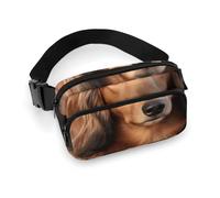 Sac banane, sac de taille imprimé teckel à poils longs, sac de taille universel, sac de taille portable, sac de taille durable, sac de taille épais, teckel à poils longs, 20 x 13 cm, moderne, Teckel à