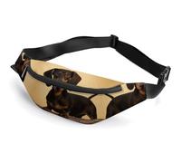 Sac banane tendance à fermeture éclair pour homme et femme, sac banane élégant avec sangle réglable, joli teckel, sac de poitrine de voyage pour la course, la randonnée, l'entraînement, le cyclisme
