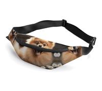 Sac banane tendance à fermeture éclair pour homme et femme, sac banane élégant avec sangle réglable pour chien de Poméranie, sac de voyage pour course à pied, randonnée, entraînement, cyclisme, chien