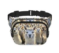 Sac banane tendance avec imprimé lama mignon pour femme, sac banane pour voyage, course à pied, noir, One Size