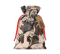 Sac cadeau amusant avec poignées et étiquette, parfait pour Noël, un anniversaire, un mariage ou un cadeau quotidien - (S)