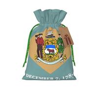 Sac cadeau avec cordon de serrage imprimé drapeau du Delaware pour fête de mariage, anniversaire, sac cadeau unique, sac en toile réutilisable, 1 pièce M