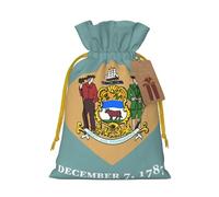 Sac cadeau avec cordon de serrage imprimé drapeau du Delaware pour fête de mariage, anniversaire, sac cadeau unique, sac en toile réutilisable, 1 pièce M