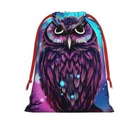 Sac cadeau en velours super doux avec pochette à cordon de serrage, sac de rangement complet imprimé pour Noël et rangement quotidien