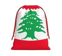 Sac cadeau réutilisable avec cordon de serrage Motif drapeau du Liban Idéal pour les fêtes d'anniversaire ou de mariage