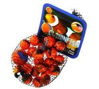 Sac de billes : clownfish lgri G